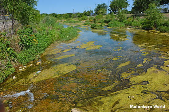 A Hot Day near a stream in Austin Texas, Photo(c)  by Dr. Jacob Mathew, Malankara World