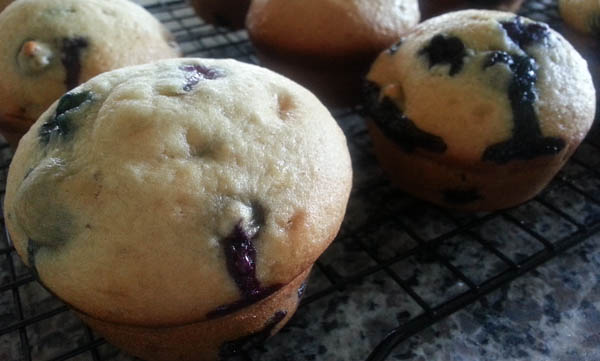 Perfect Muffins - Close Up