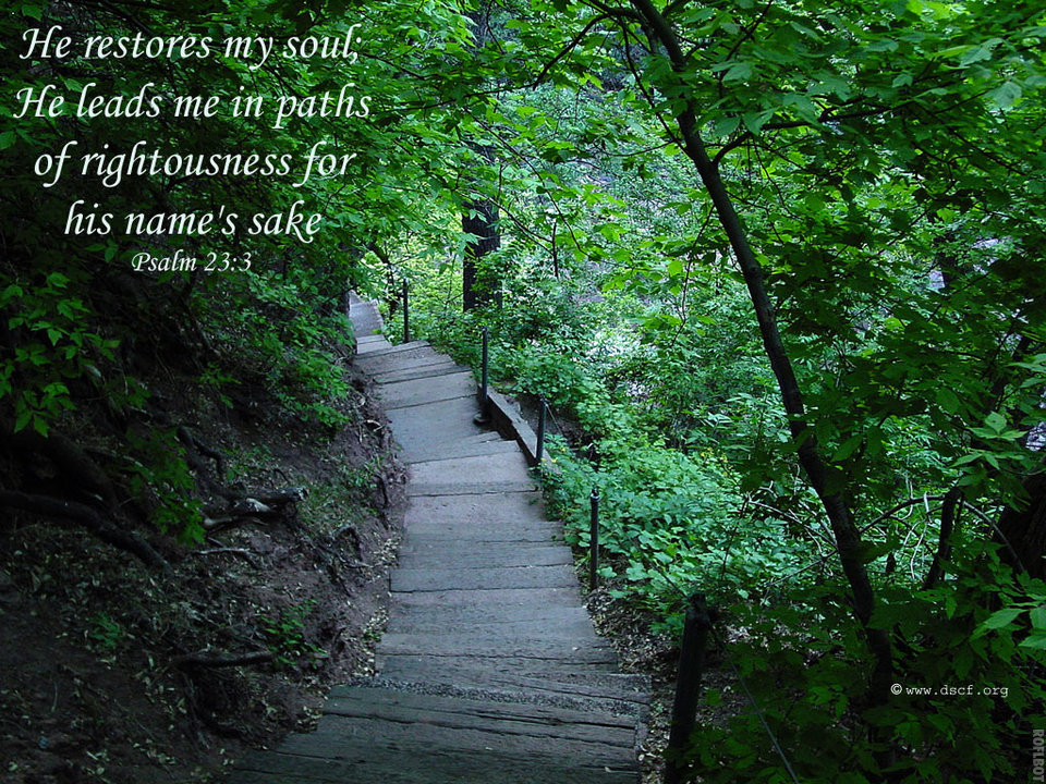 Psalm 23:3 He restores my soul