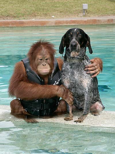 Friends