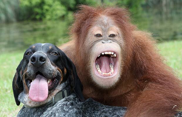 Friends