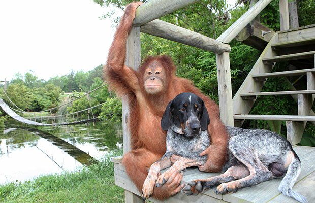 Friends
