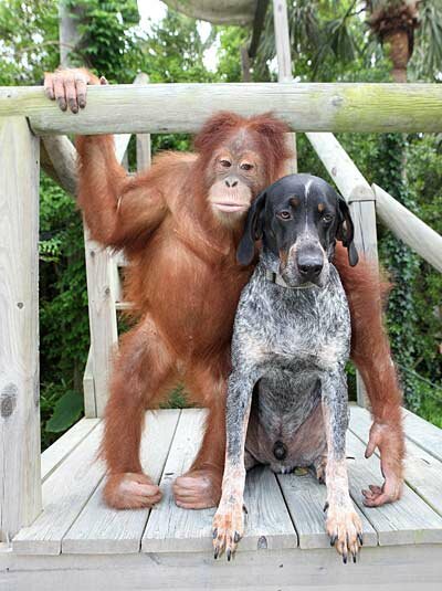Friends