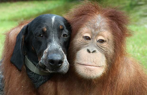Friends
