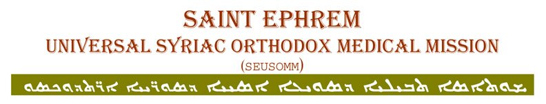 SEUSOMM Title Logo