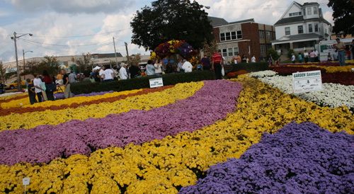 Daffodils Lake Arrowhead